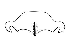   Osmia yanbianensis  female, diagram of clypeus, diagram modified from Wu 2004 
